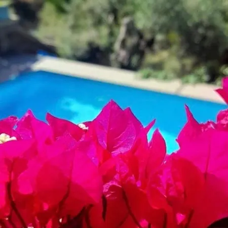 Thea 2 * Parthenón